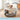 Ascher 22.8" Hard-Sided Pet Carrier for Small Dogs & Cats, 4-Sided Ventilation Travel Kennel with Food Bowl & Interior Moat, for Pets 10-22 lbs